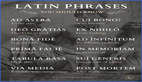 A Profile Of A Latin Beauty